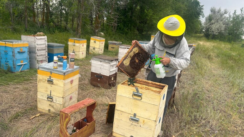 e3ee4e0f-bd4b-4f0b-b45a-e899e8aa0b38