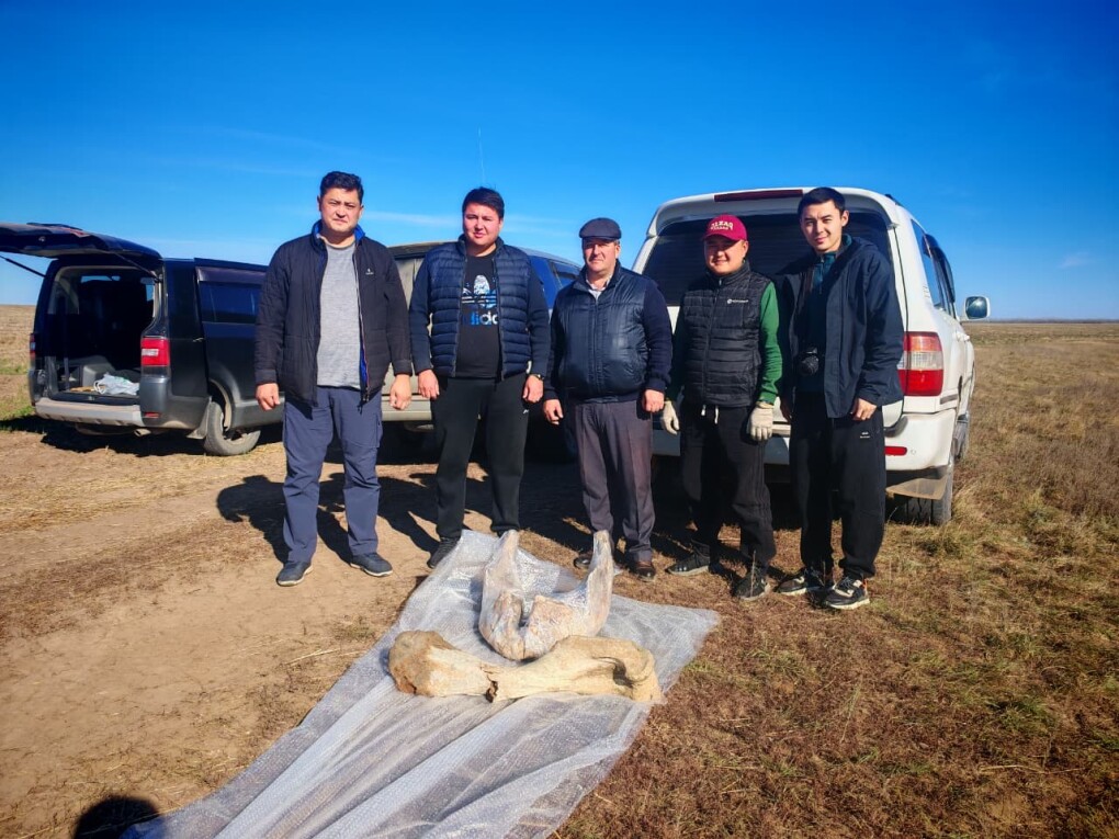 f5b6b29c-33e8-46ba-b03e-d84b19f4f7df