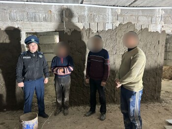 ff81c36e-e4ce-43da-bb33-b084ecd7a9f5