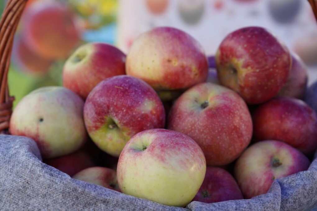 _gluster_2025_9_28_a45a0e68db013d32f098dc8d0c6de071_1280x720