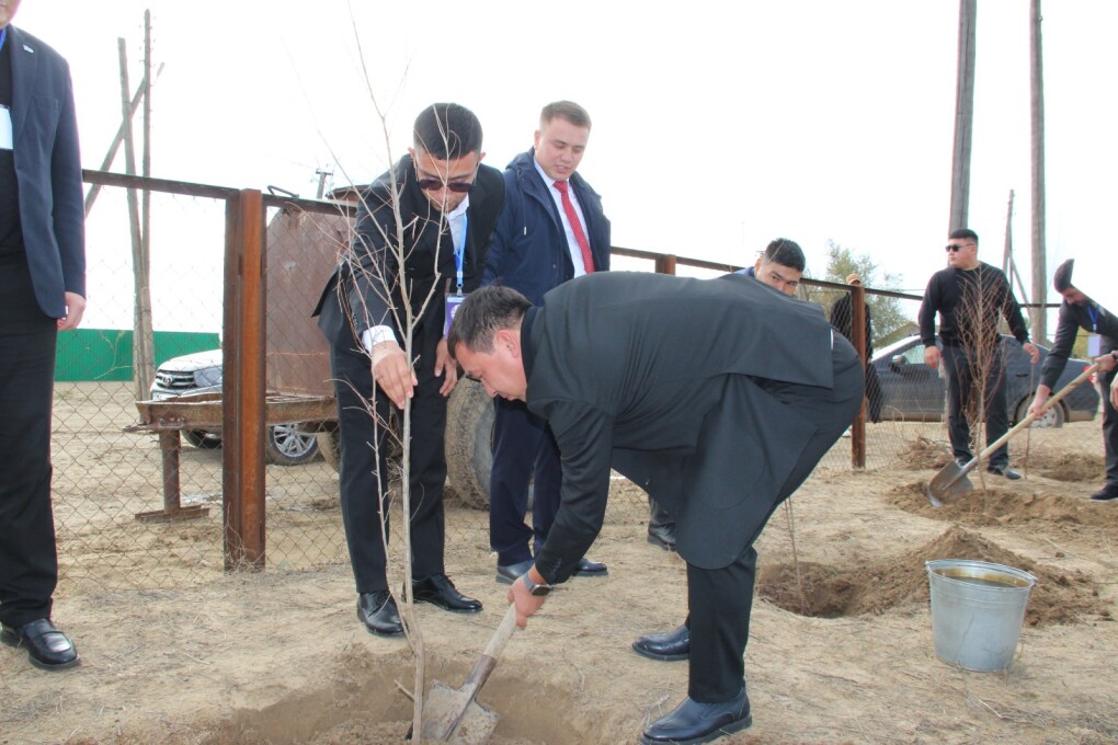 image-15-10-25-03-20