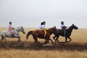 image-15-10-25-10-24-5