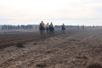 image-25-10-25-07-06