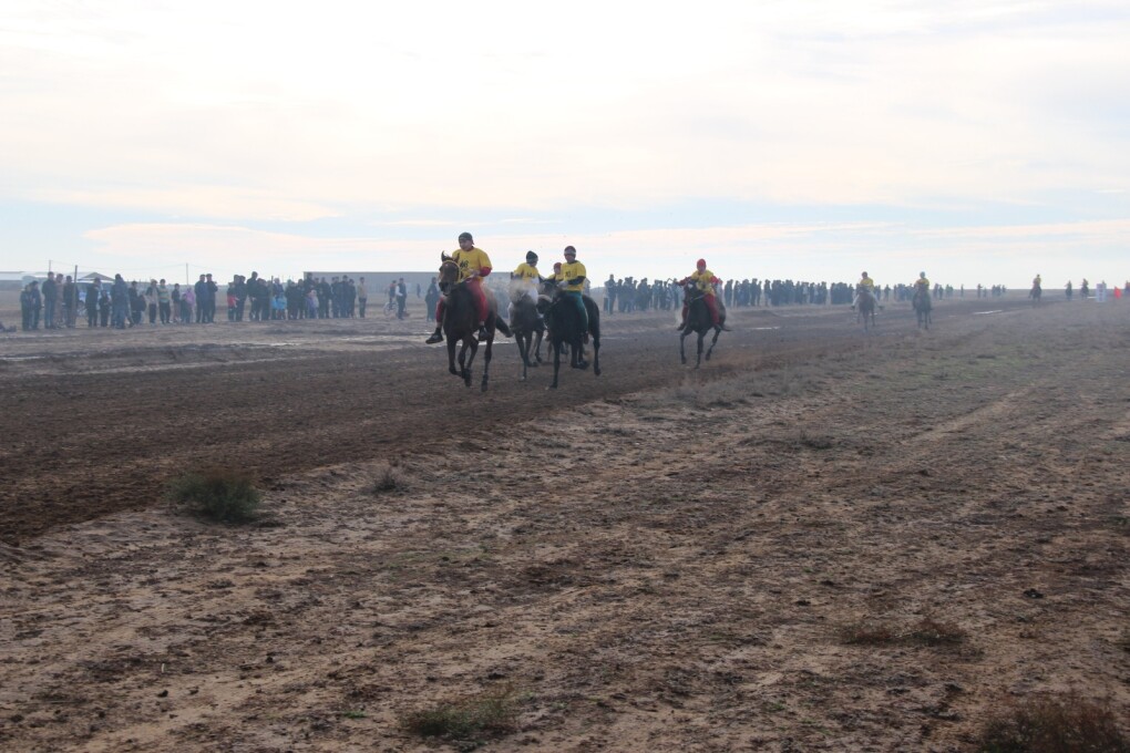 image-25-10-25-07-06