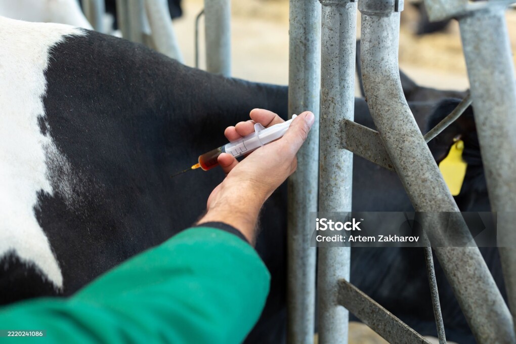 istockphoto-2220241086-2048x2048