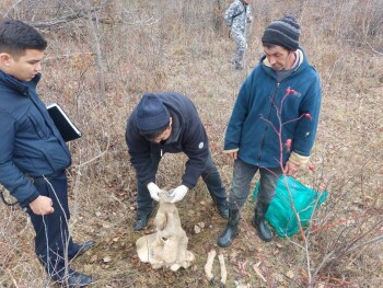 photo_5188438270617452176_y