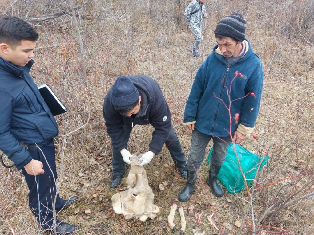 photo_5188438270617452176_y