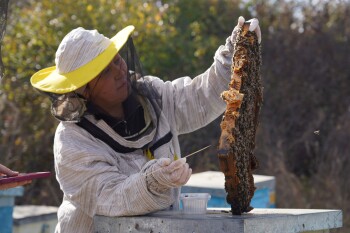 photo_5433877453807415689_w