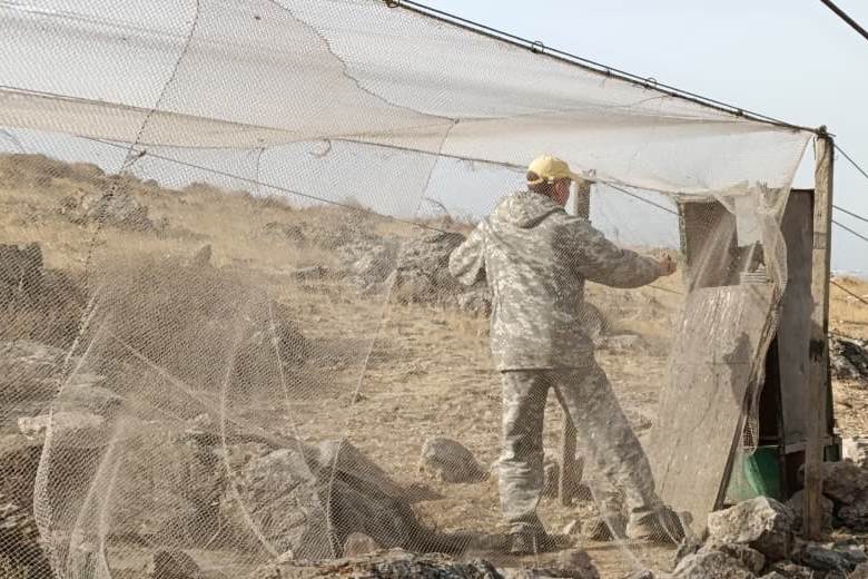 владимир абдулов - орнитолог (6)