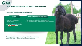 зеленный_Страница_5