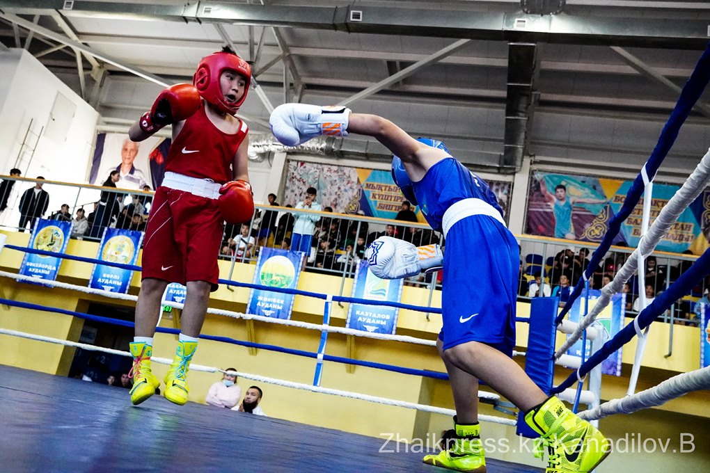 жп бокс шыңғырлау (9)