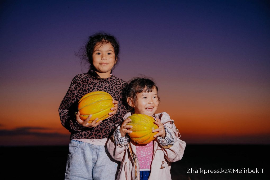 жп мамандар галериясы (2)