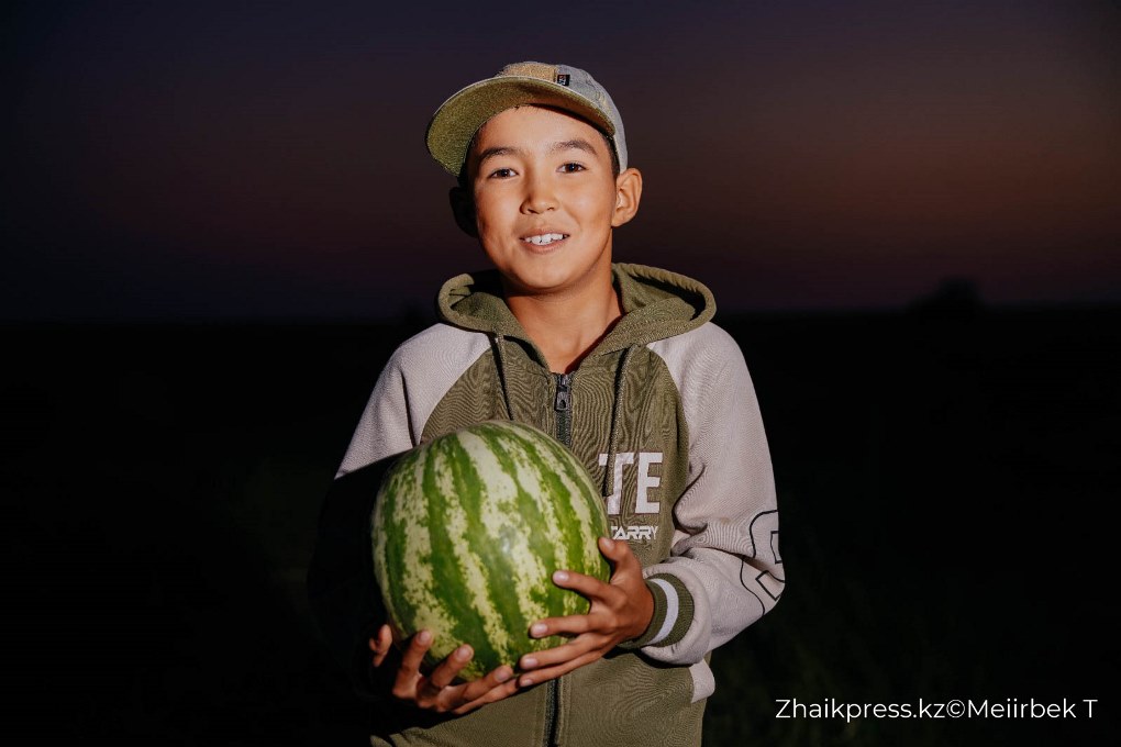 жп мамандар галериясы (4)