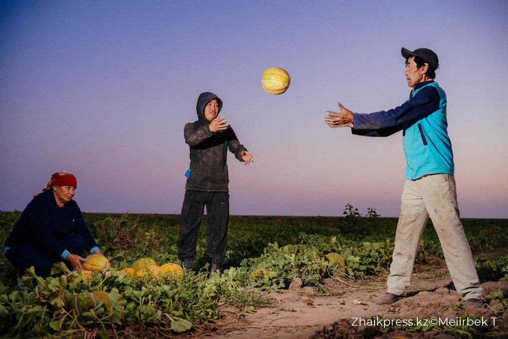 жп мамандар галериясы (6)