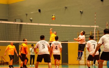 1018e2c0-f615-4463-ad61-207f155c808a