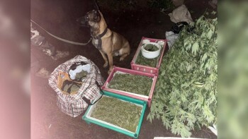 1b1c584e-e46f-4b8d-a0b1-a4a40883f007