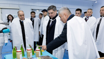 354453453453434534534+