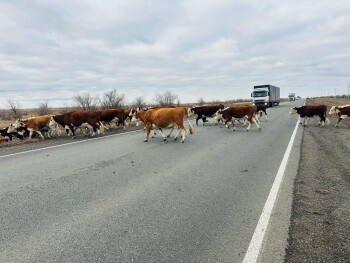 PHOTO-2025-11-10-15-25-00