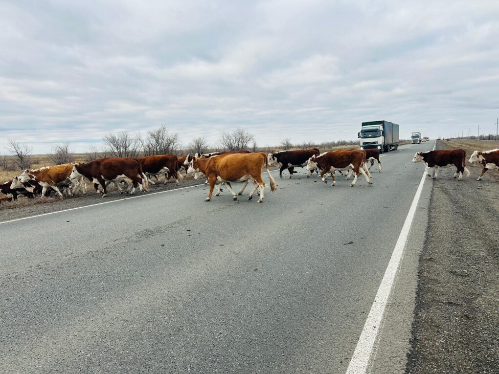 PHOTO-2025-11-10-15-25-00