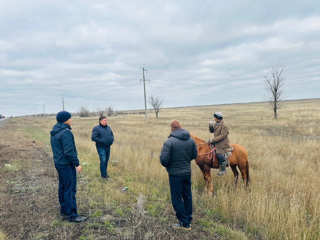 PHOTO-2025-11-10-15-25-01 (1)