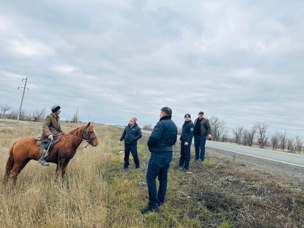 PHOTO-2025-11-10-15-25-01