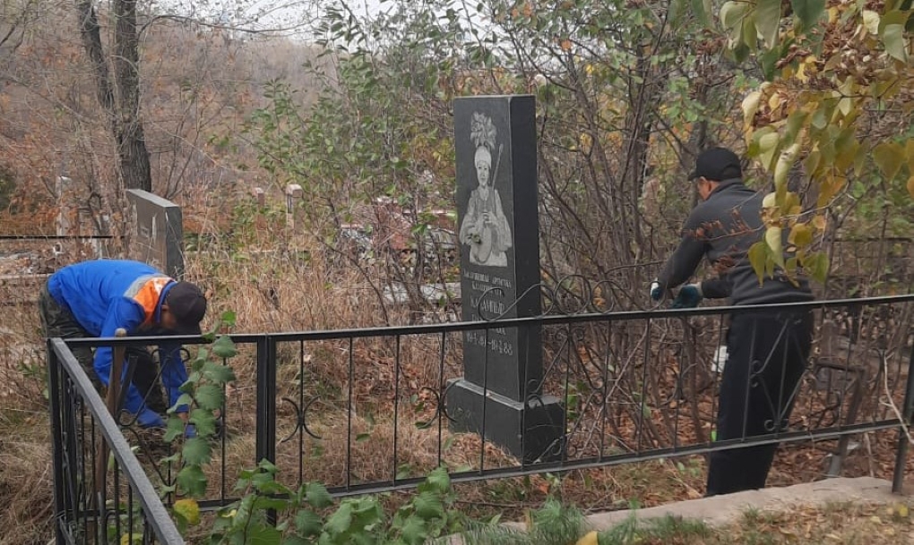 WhatsApp Image 2025-11-0