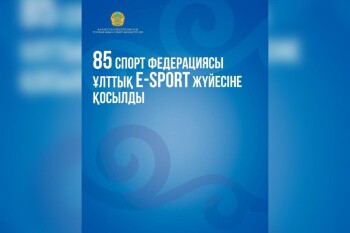 WhatsApp Image 2025-11-04 at 16.53.05