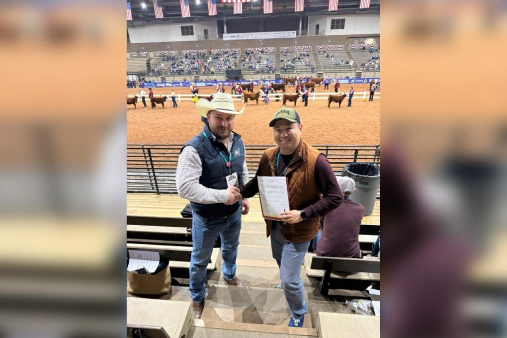 WhatsApp Image 2025-11-05 at 16.57.10