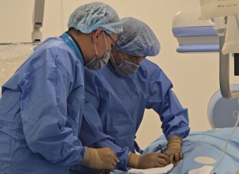 WhatsApp Image 2025-11-14 at 16.30.56