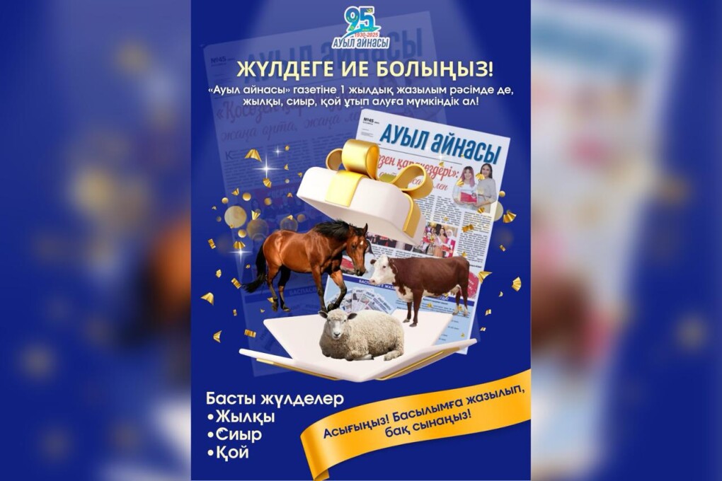 WhatsApp Image 2025-11-25 at 16.30.24