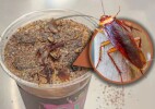 Кофе с тараканами и червями стал трендом в Китае
