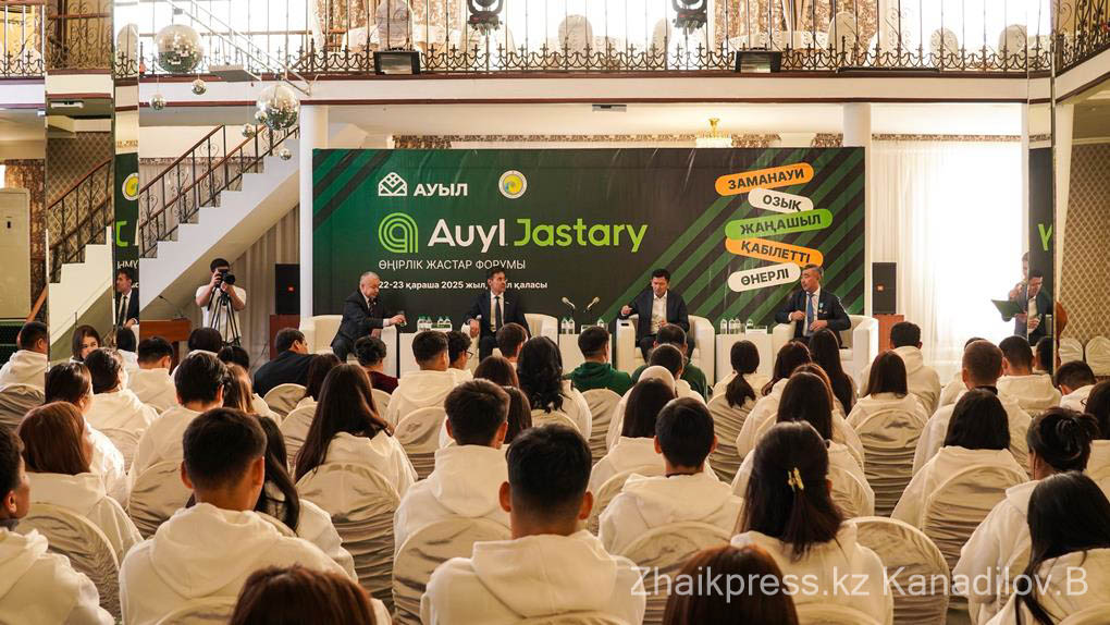 ауыл партиясы (1)