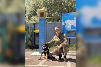 b42699c6-24c1-4bdf-b7f9-697ea031307e