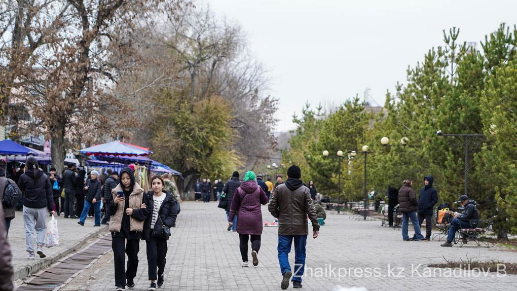 базар күз (5)