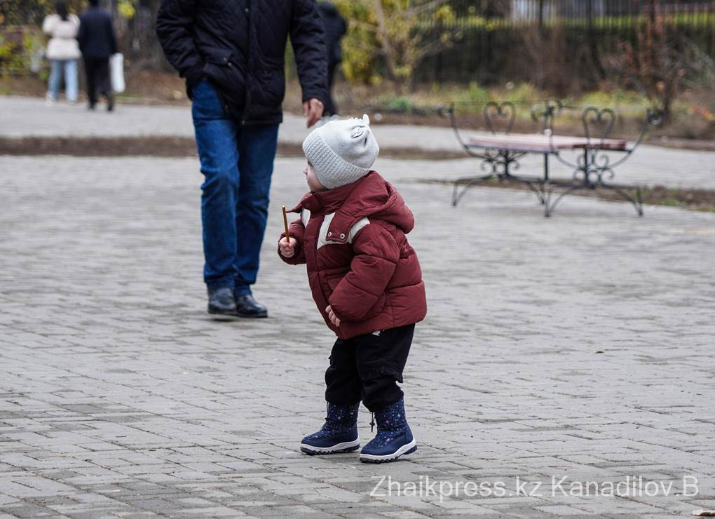 базар күз (9)