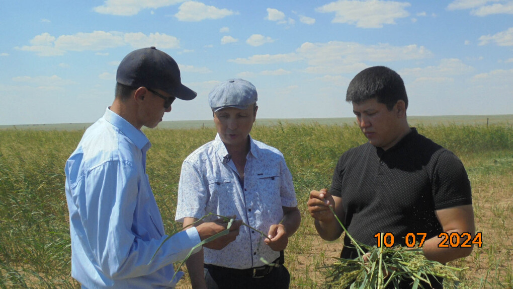 екпе шоп копия