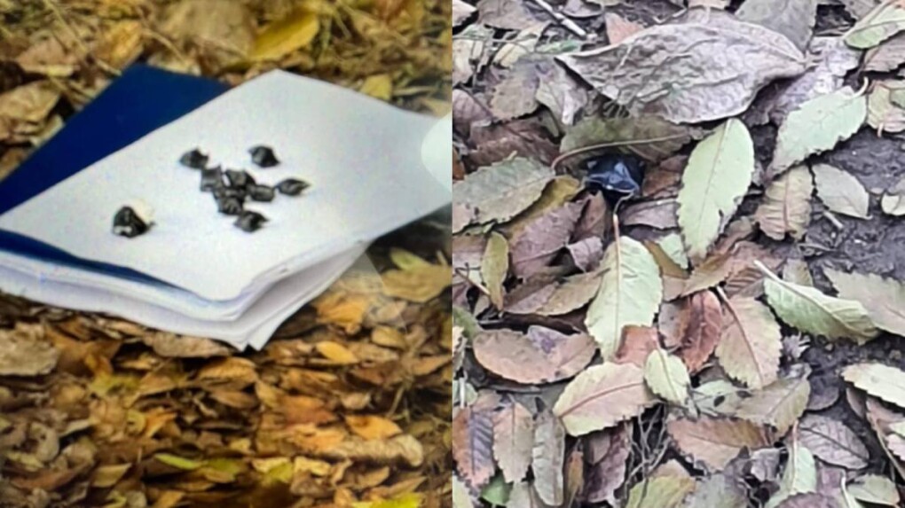 f34d3e1e-cd14-42b7-958a-52ecdeadbf8a