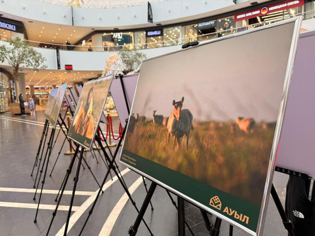 фотографтар байқауы (2)