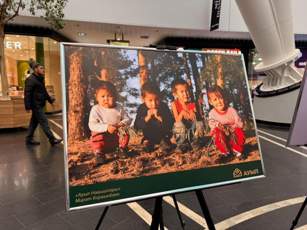 фотографтар байқауы (5)