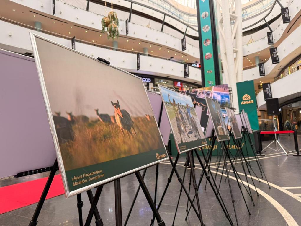 фотографтар байқауы (6)