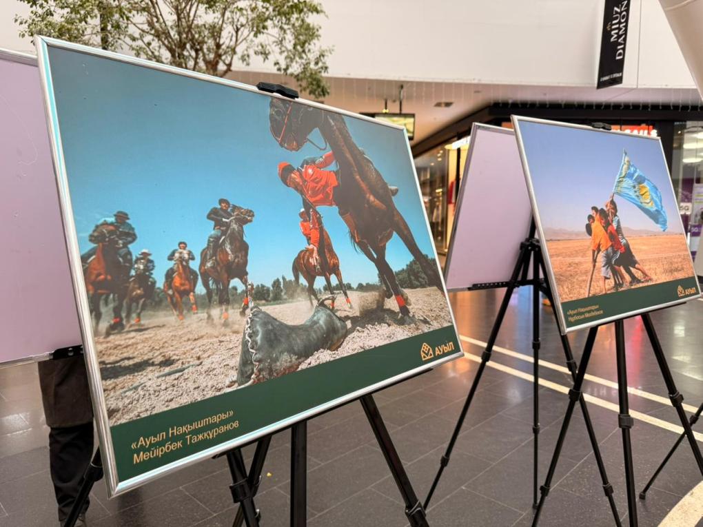 фотографтар байқауы (7)