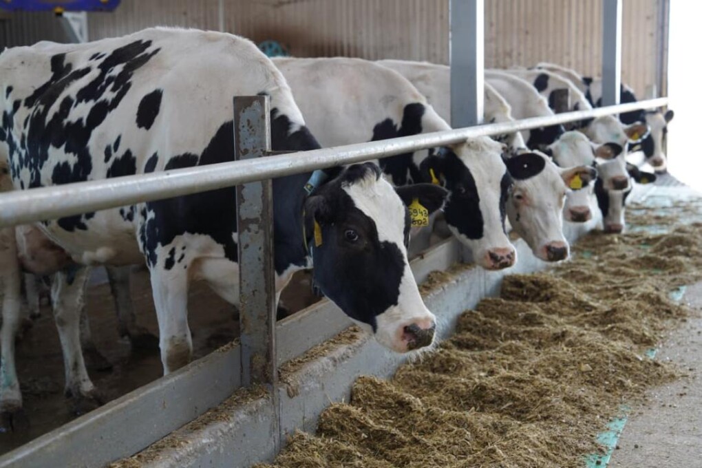 _gluster_2025_10_10_b8bb59171ebc6662904b53e42fe145a1_1280x720