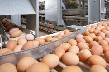 _gluster_2025_11_20_2e2e03605f49b9f91618d298801a1647_1280x720