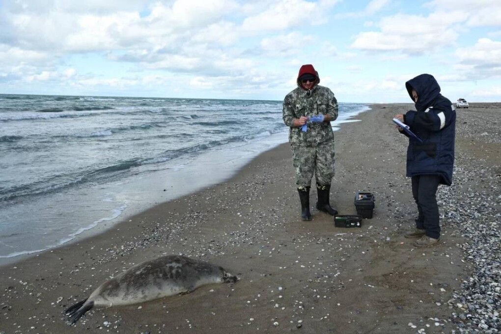 _gluster_2025_11_5_861f1445347403b9cd2c7fa073eb1208_1280x720