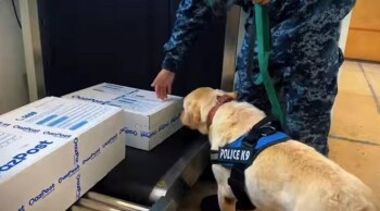 _gluster_2025_11_7_c4c20ec8555337e044d8307829b50bd4_1280x720