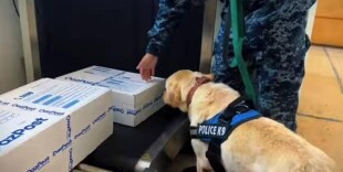 Батыс Қазақстан облысында есірткі қылмыстарына қарсы күрес күшейтілді