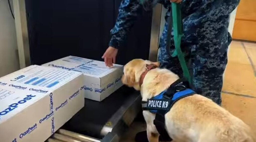 _gluster_2025_11_7_c4c20ec8555337e044d8307829b50bd4_1280x720