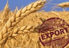 Экспорт зерна нового урожая составил 2 млн тонн