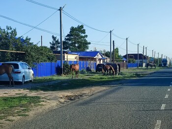 image-13-11-25-12-04-1