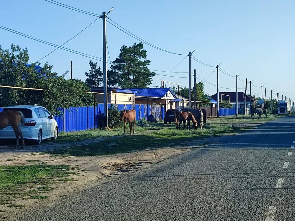 image-13-11-25-12-04-1